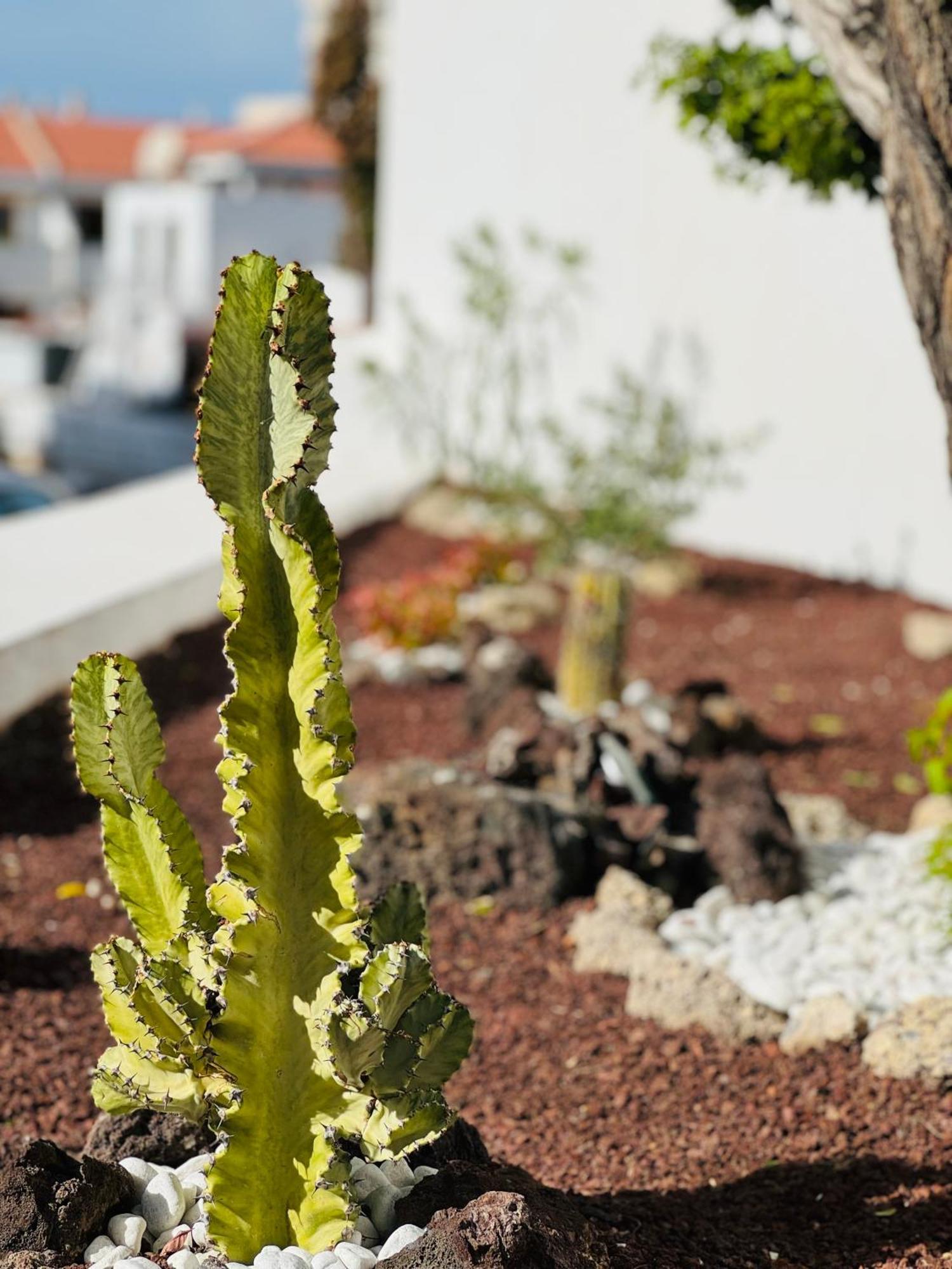 Garden City Private Apartment Costa Adeje Playa Feñabe 외부 사진