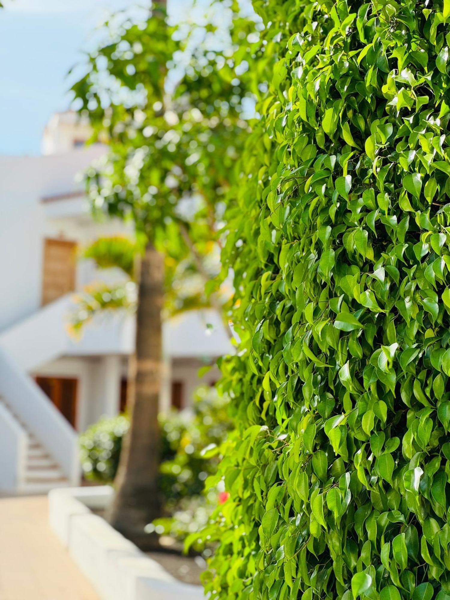 Garden City Private Apartment Costa Adeje Playa Feñabe 외부 사진