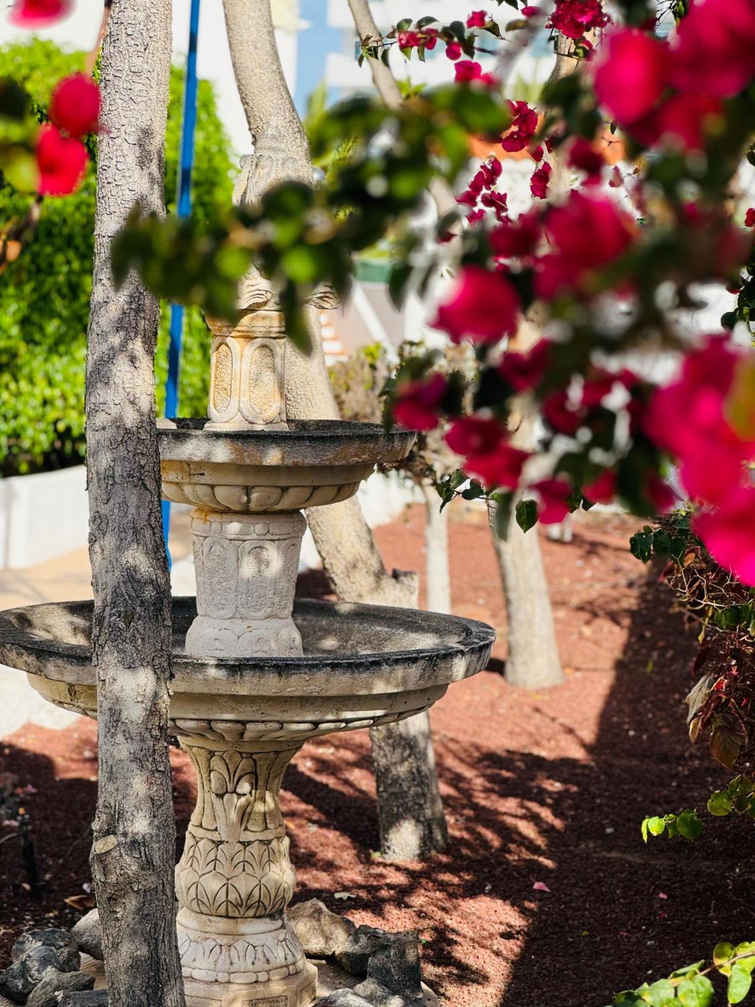 Garden City Private Apartment Costa Adeje Playa Feñabe 외부 사진